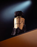 YumCars Paint Serum VI verpakking – ProDetailStore
